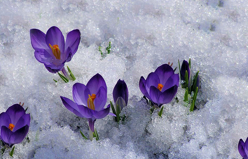 F1970C54-FA21-44F5-ADA0-4F57ABE99016