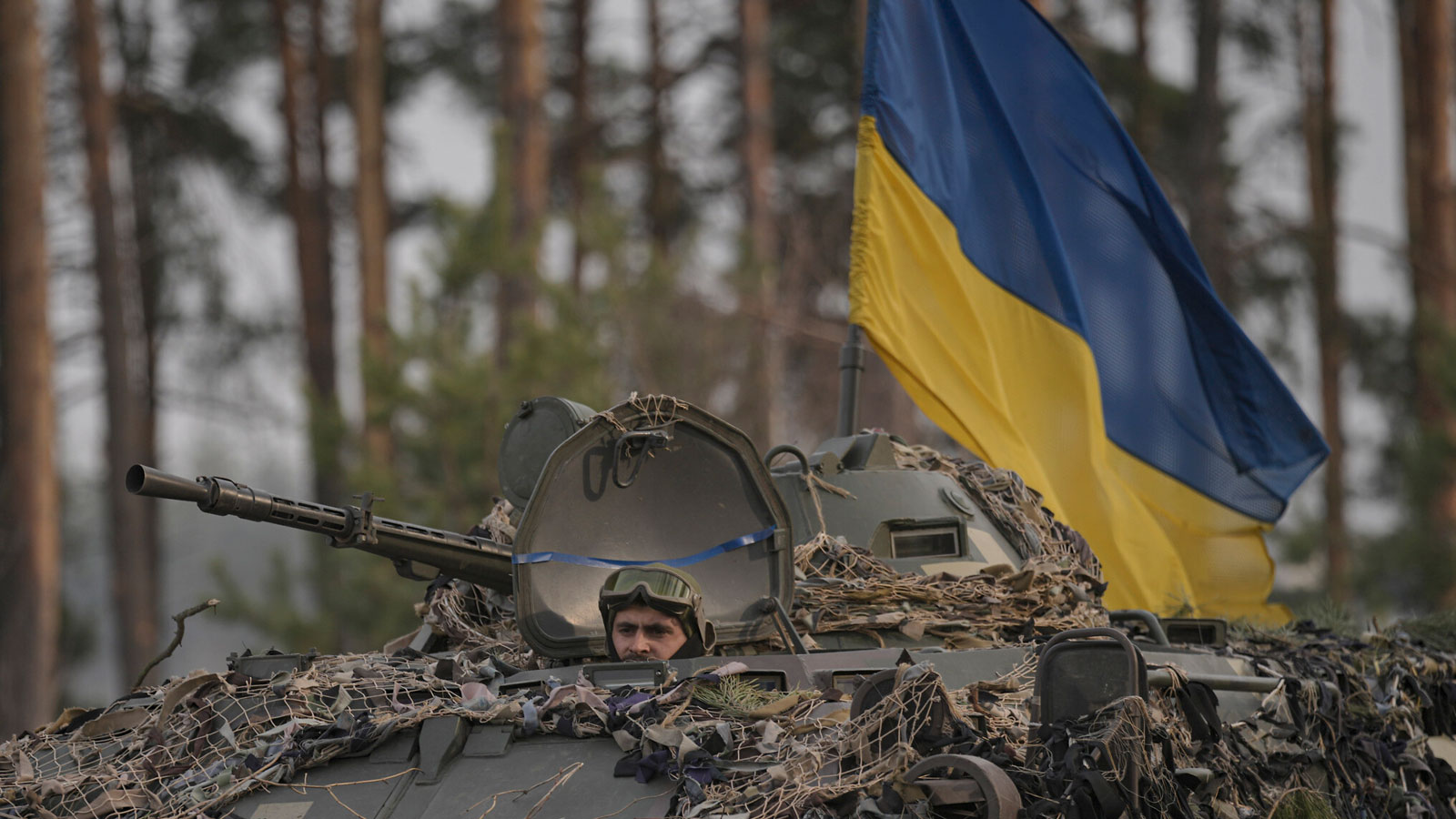 ukraine-forces