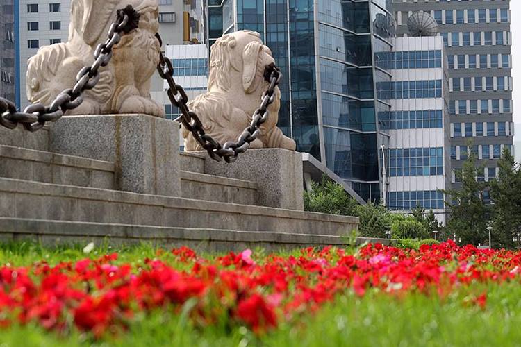 222169054_1172370316579722_1283462008766512754_n