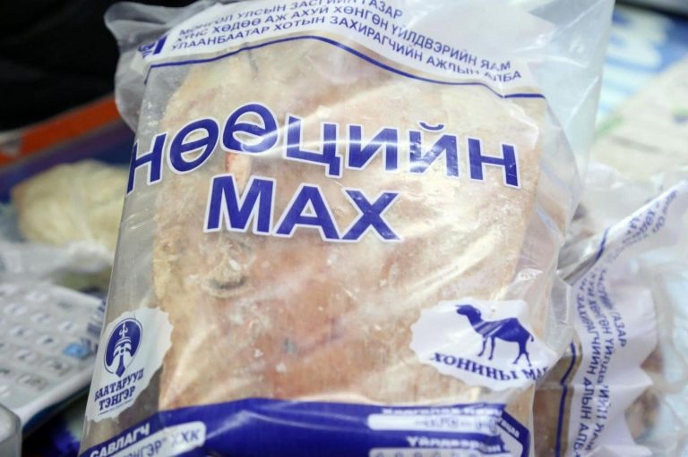 278013747_515304560152272_3352489189776852110_n