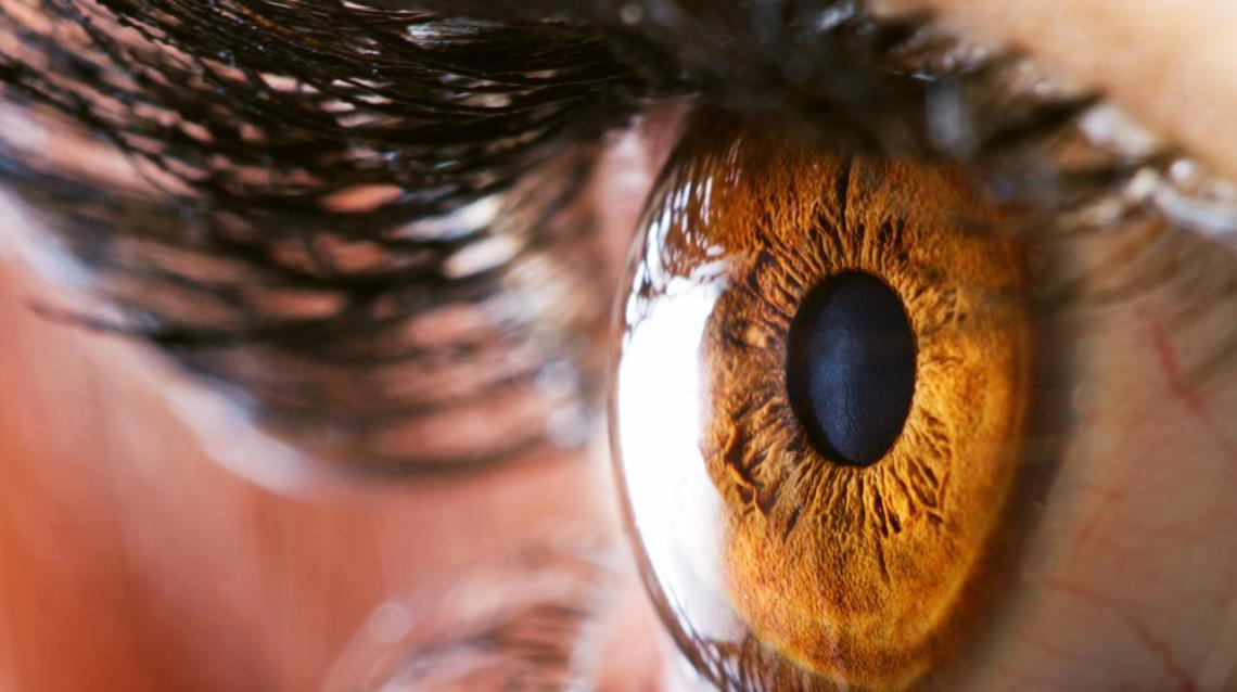 79ae0e6f3dd8a6cac78df5d4aaf847ae0166cb2d