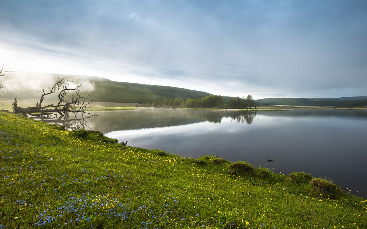 Mongolia-spring-2