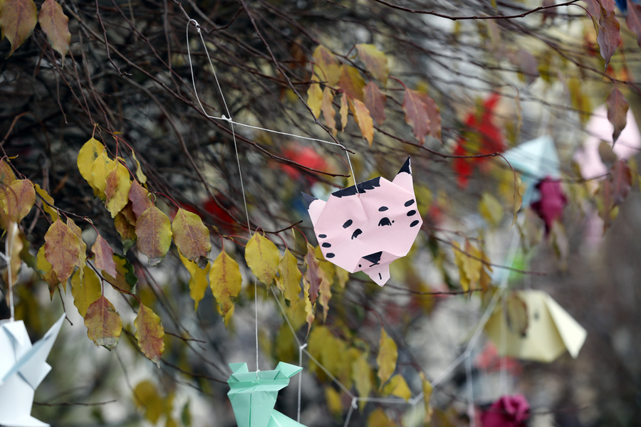 p1940k4ra7vk27puau41ufp6fd8