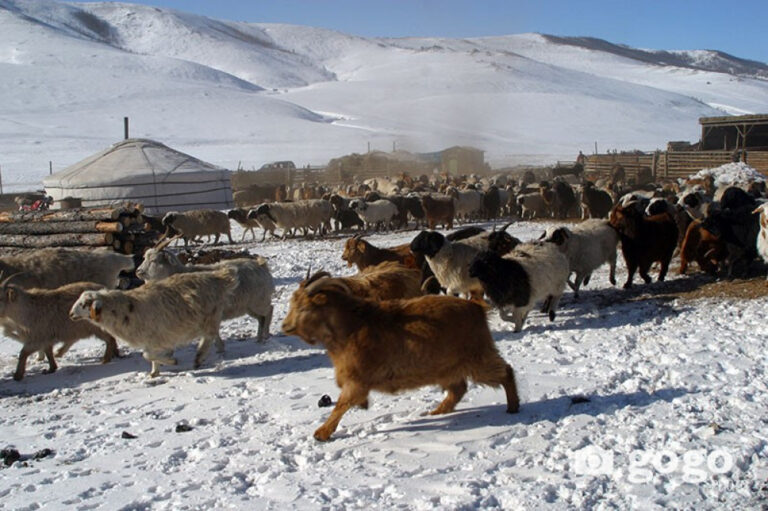 134759-10022014-1391993231-1418343853-huduu_mal_yamaa1