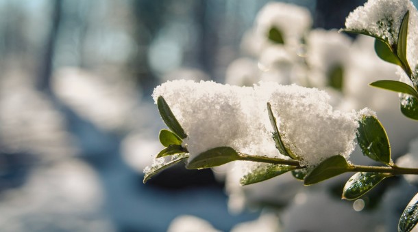 9e3288b637167fe29ea05a4e0f9d2cf9