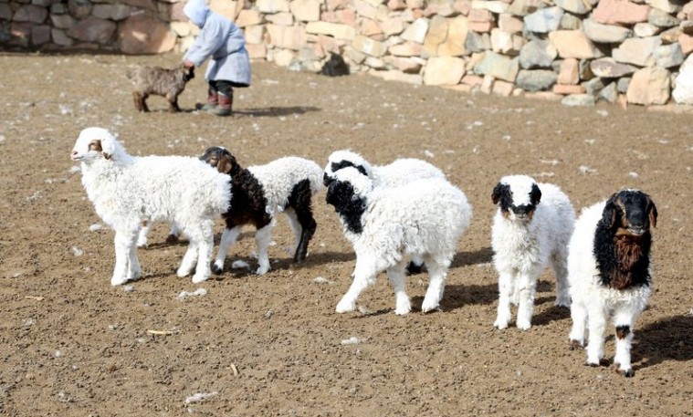 CDD9817E-0E3B-5864-AAC6-CFDDD11663CF