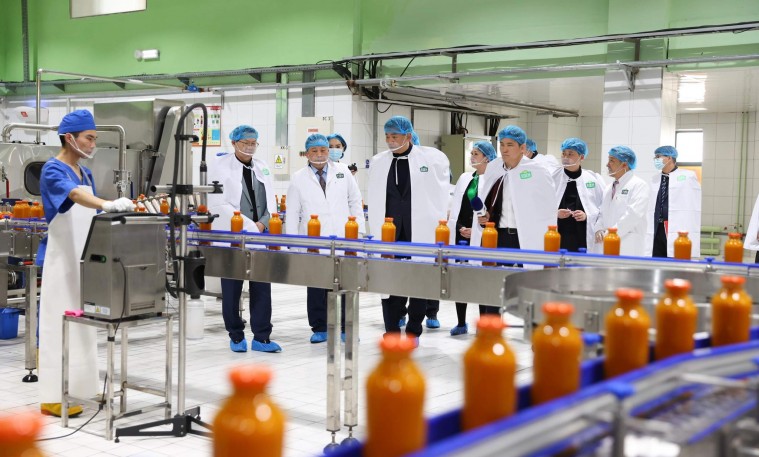 D2CA1E19-FD12-C5B6-038B-9AF9CB0C0274