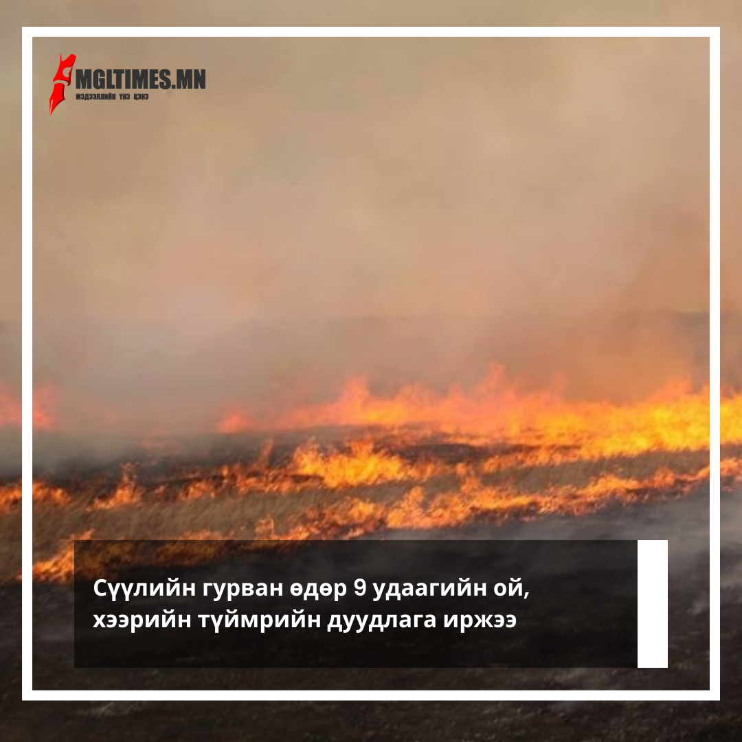 Simple Background Photo Text City Informative Instagram Post (7)