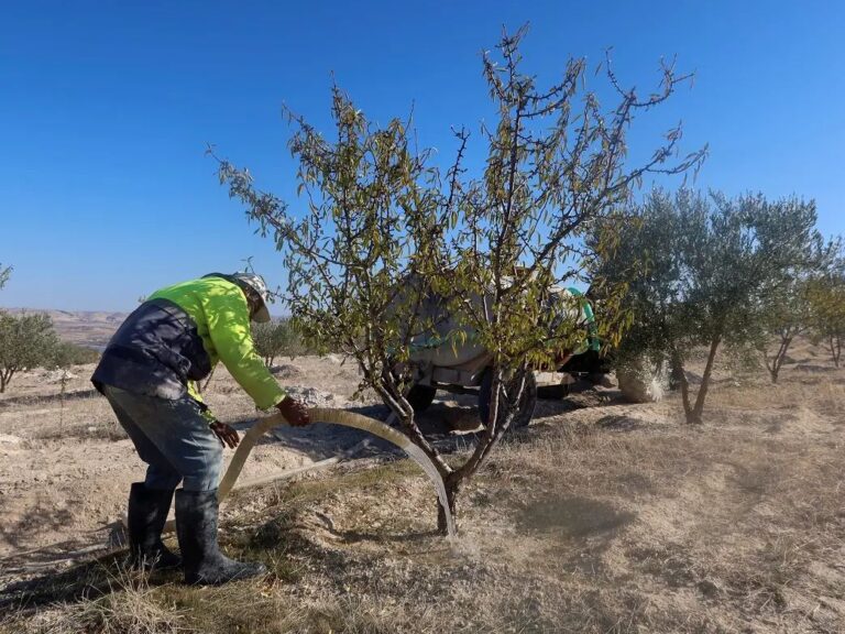 ma6504_tunisia_drought_x974