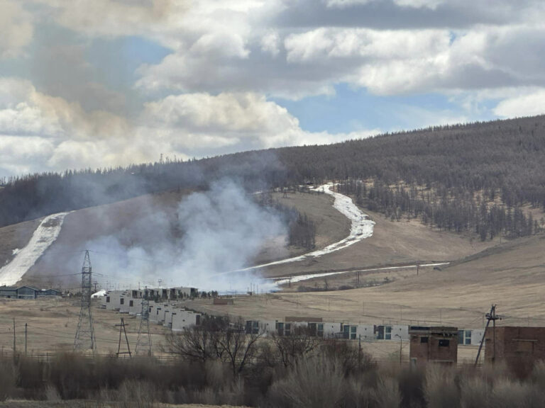 tuimer-140019-2101863632