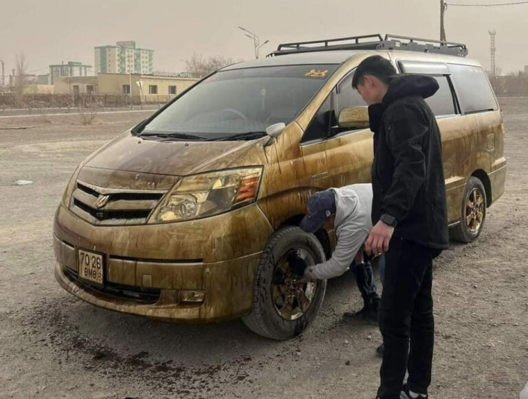 306584-22052023-1684721796-38941256-mashin1