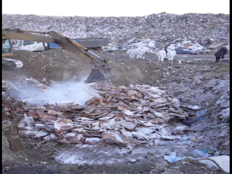 zh79rc_large-65f81715d945cd6f70cf66a0_x974