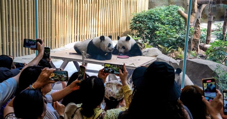 66743185d1cf2.image_