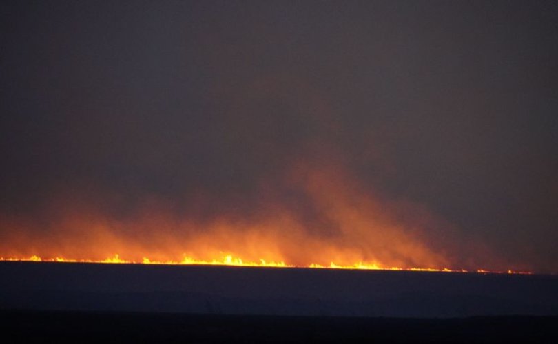 67da9306c216d-810x500