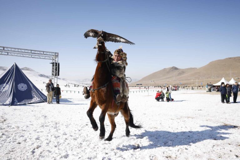 67cbdf2e87a8030a89944dd0