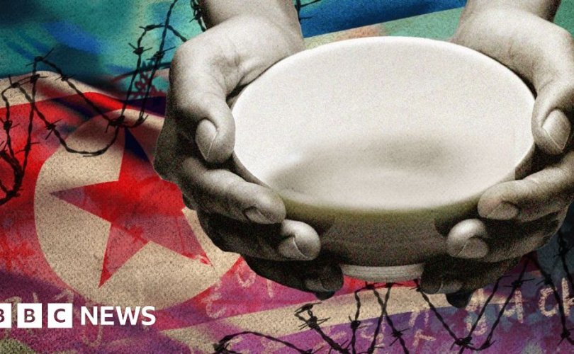 130085284_nk_newsstory_promo-810x500