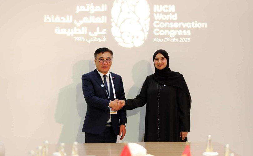 559210544_122096549157070050_3885817156729936789_n-810x500