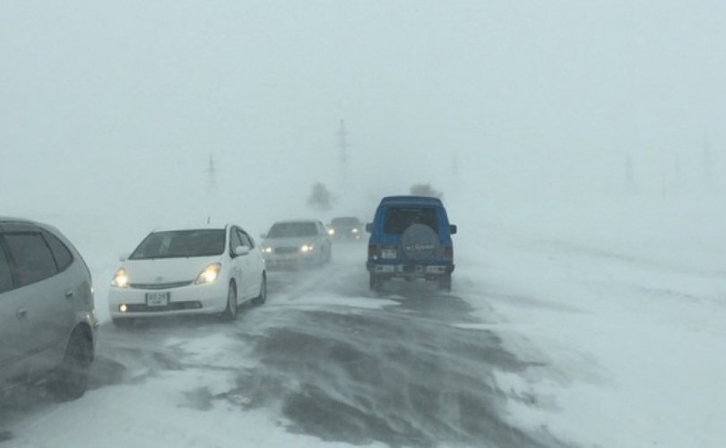 tsas_shuurga5da8306a1c58b-810x500