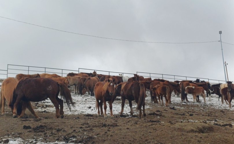 576182978_122233487732257880_4881085387222805216_n-810x500