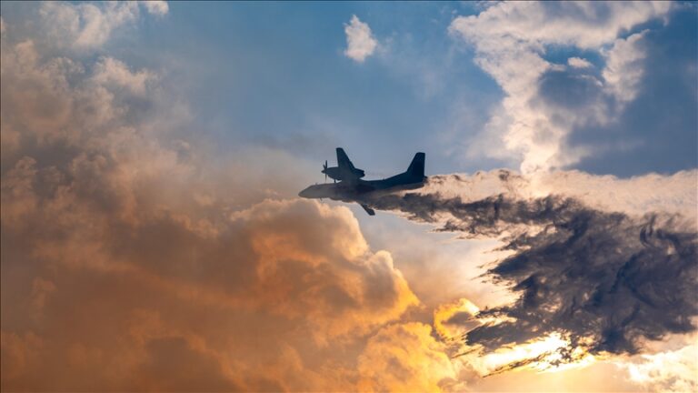 thumbs_b_c_5b82b387b98cac5e8922aaa98a360166